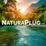 Naturaplug.com