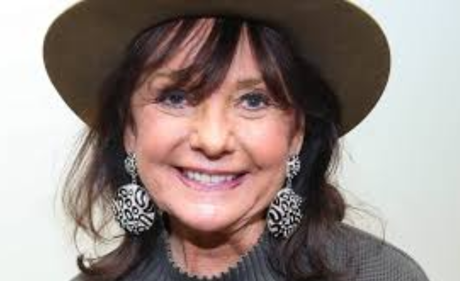 dawn wells net worth