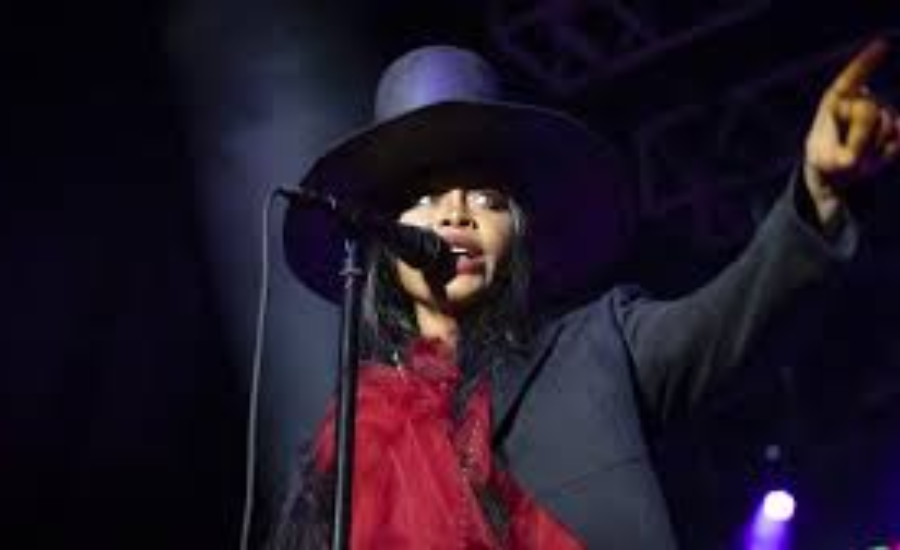 erykah badu net worth